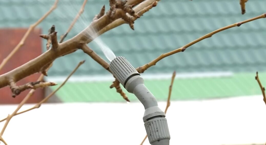 Дід Захар нагадав, чим треба обприскати старі плодові дерева навесні – буде 0 скинутих завʼязей і хвороб 