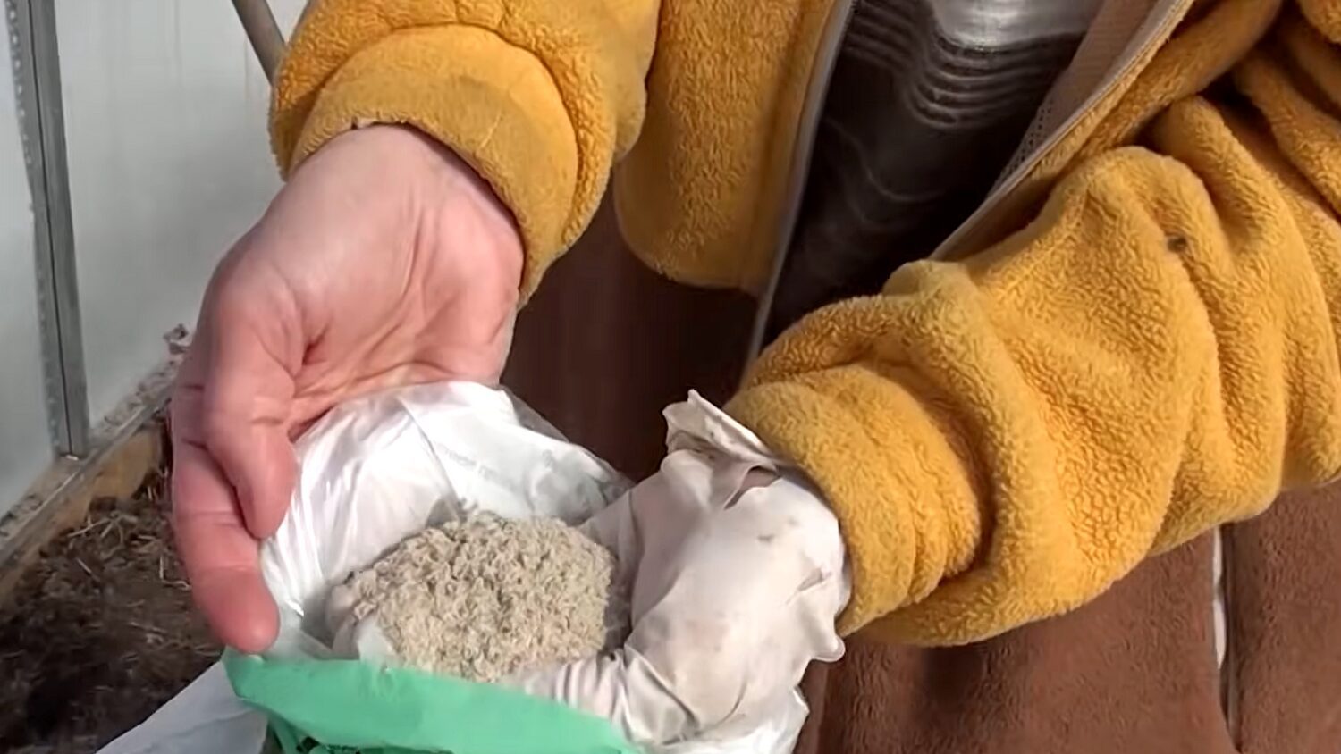 Квітникарі порадили добриво, яке зробить троянди розкішними