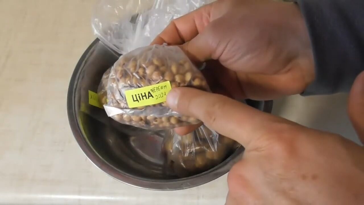 Фермери розповіли, що потрібно робити зі старим насінням