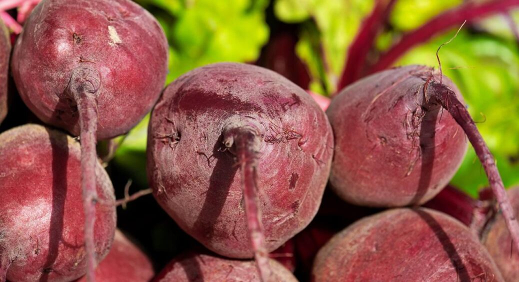 Поливала буряк простою водою – доки бабуся не сказала додати 1 продукт з кухні: коренеплоди стали, як кулаки 