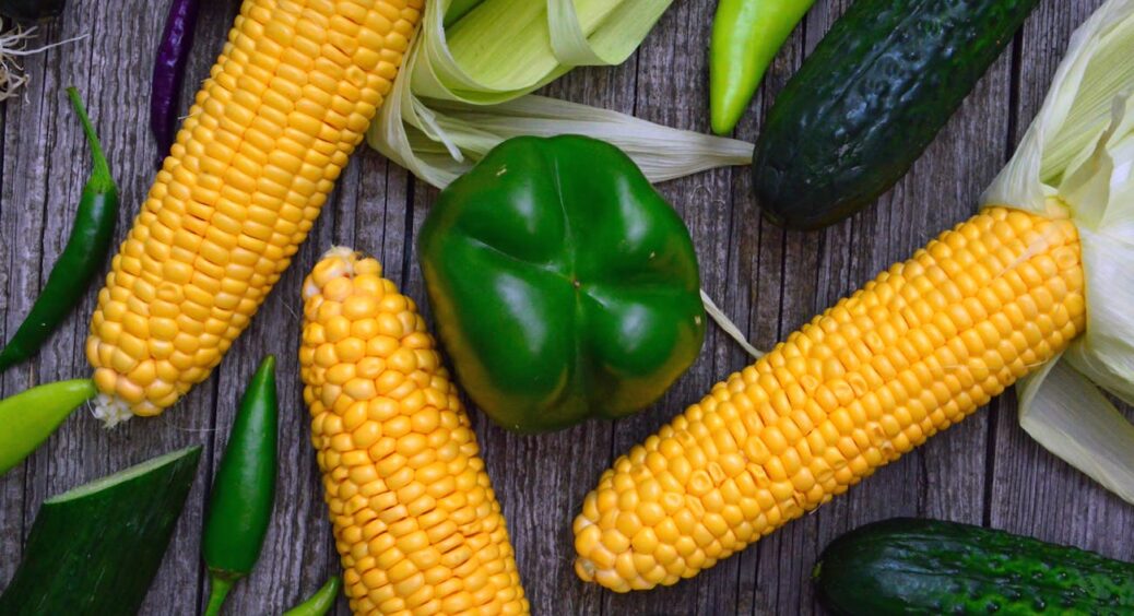 Цариця полів без корони не залишиться: ось що потрібно кукурудзі, щоб качани були повні, а стебла – могутні 