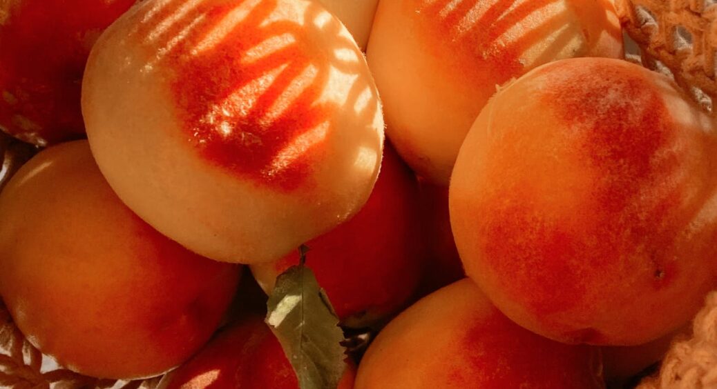 Персик не картопля: вкопав — і забув. З ним треба як з гостем з півдня: тепло, лагідно, з увагою до дрібниць 