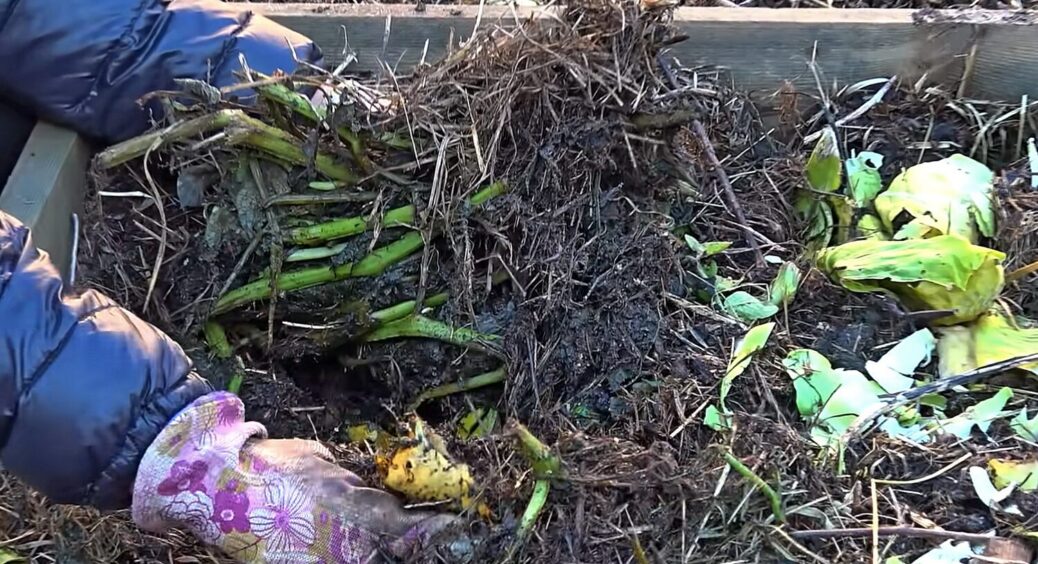 Все життя робила компост “як усі”, а потім додала 1 компонент — і город ожив, мов на дріжджах: не дякуйте 