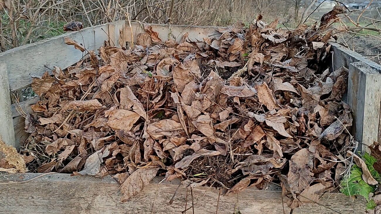 Городники розповіли, які продукти не можна класти в компост  