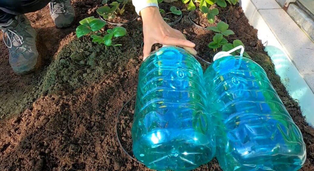 Сусід все просив віддавати пляшки з-під води, я коли спитала навіщо — стала також це робити: вішаю на паркан 