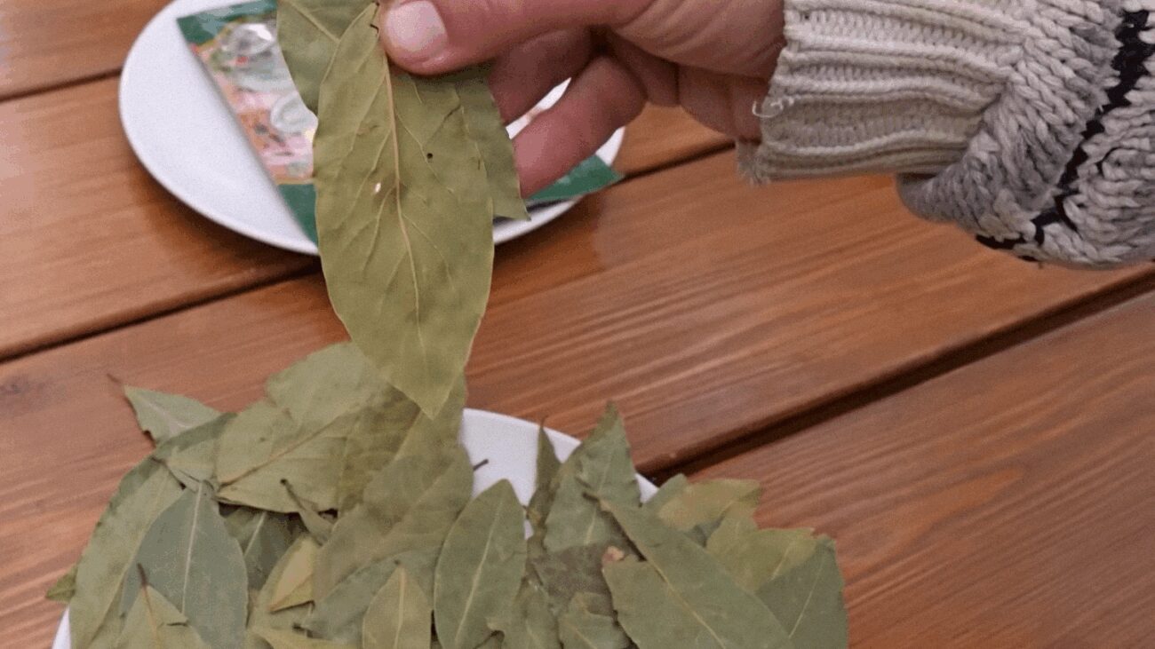 Езотерики розповіли, де вдома зберігати лавровий лист для залучення удачі