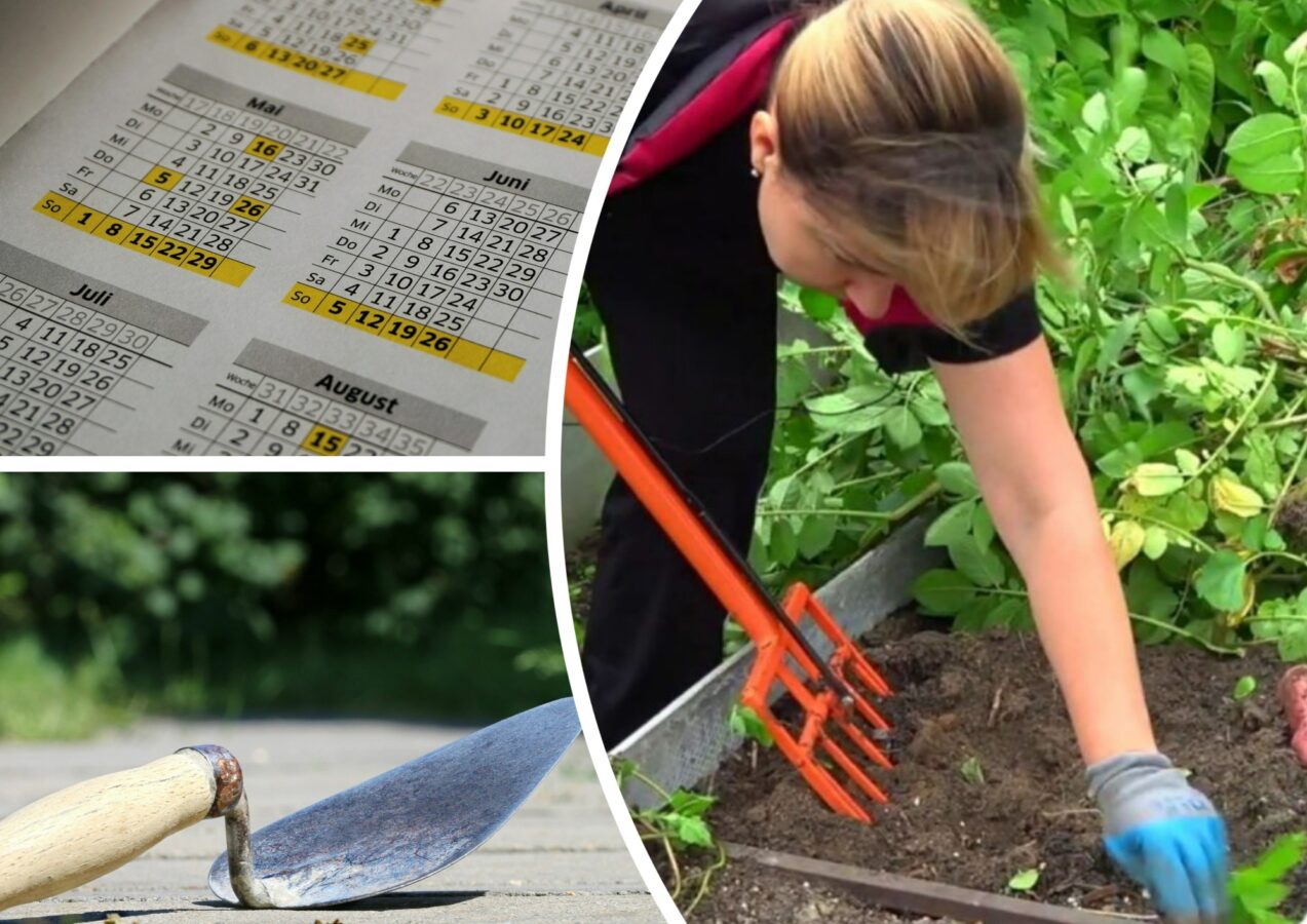 Заборонені дні для городників у квітні-травні 2025 року