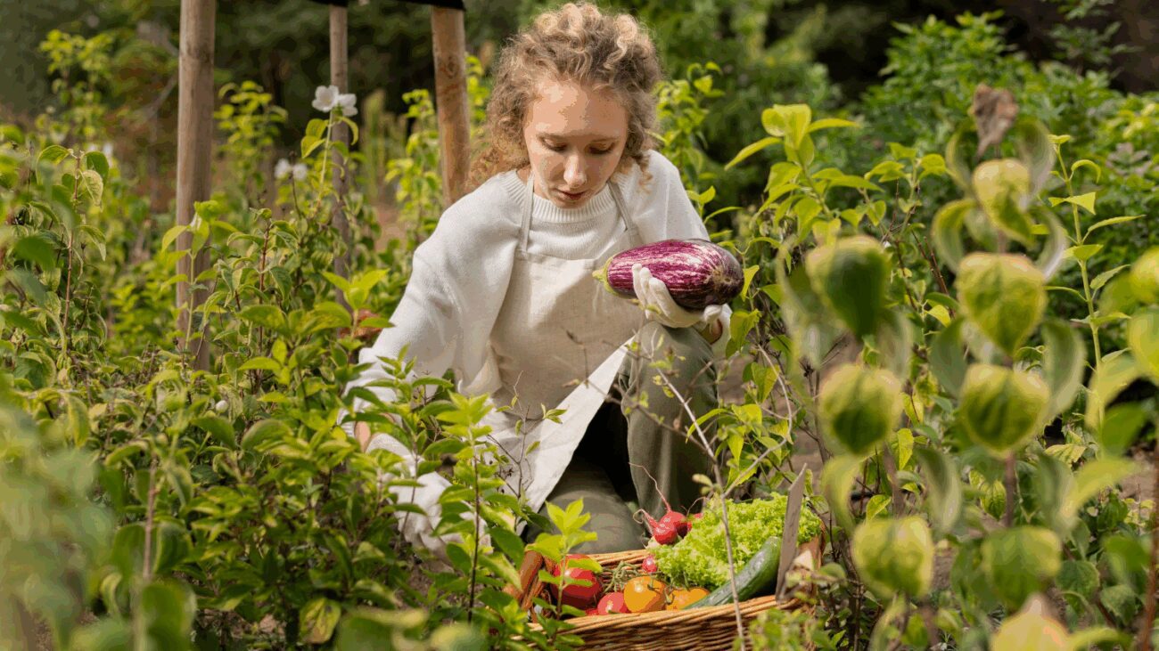Агрономи назвали 5 культур, які краще ростуть у тіні, а не на сонці