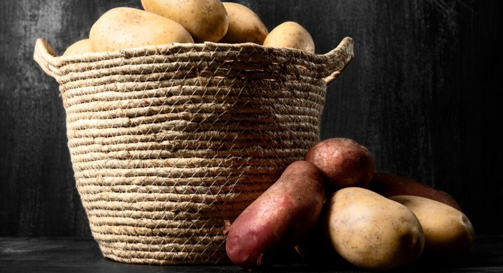 Сусід збирає картоплю розміром з манго. Запитала про секрет: виявилося, що все завдяки 1 дешевому добриву 