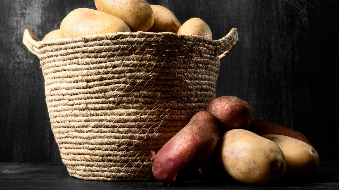 Аграрії назвали просте добриво, яке допоможе виростити гігантську картоплю