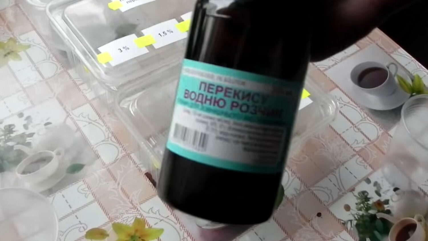Городники розповіли, в чому замочити насіння огірків для рекордного врожаю