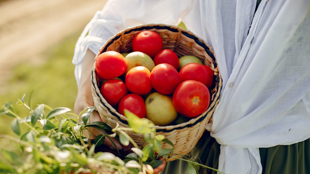 Аграрії пояснили, чому важливо не запізнюватись із посадкою помідорів