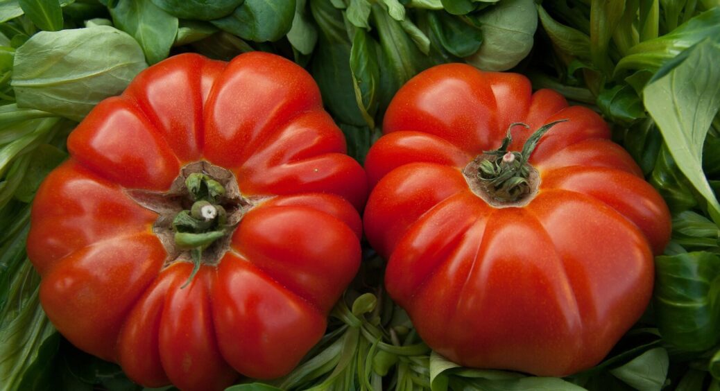 По 1 ложці в кожну лунку – і помідори лізуть без упину: на городі по 7 годин, але не встигаю збирати врожай 