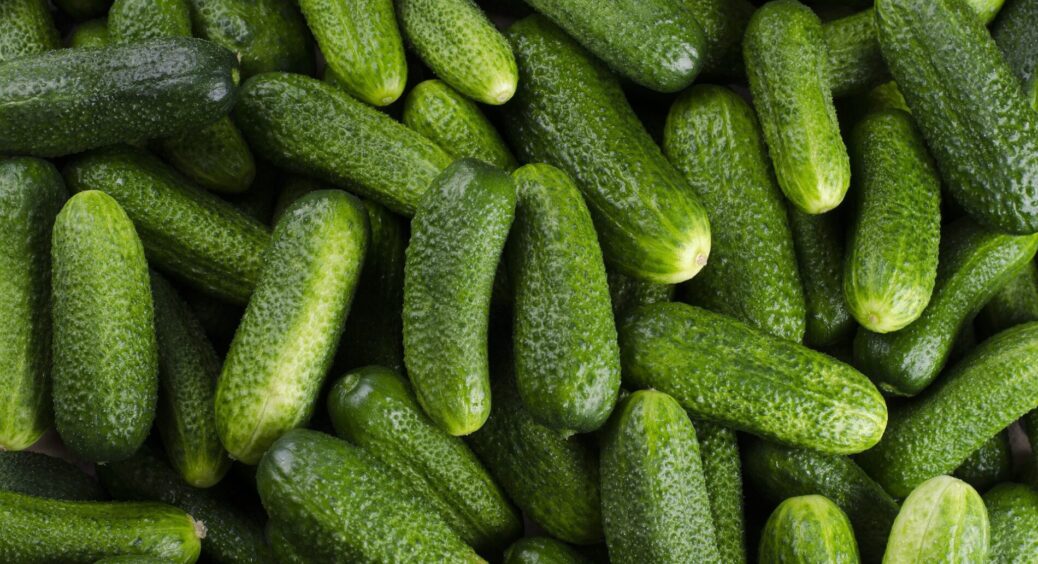 Весняні добрива для огірків, які дають шалений урожай: і кожне з них не вартує більше 50 гривень — це вау 