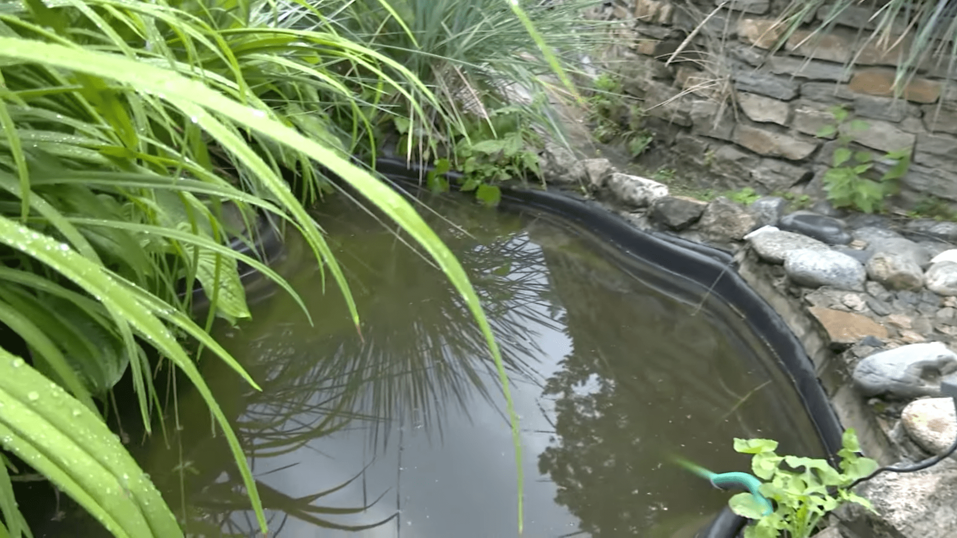 Експерти розповіли, як розміщення культур за рівнями рятує урожай при підтопленнях