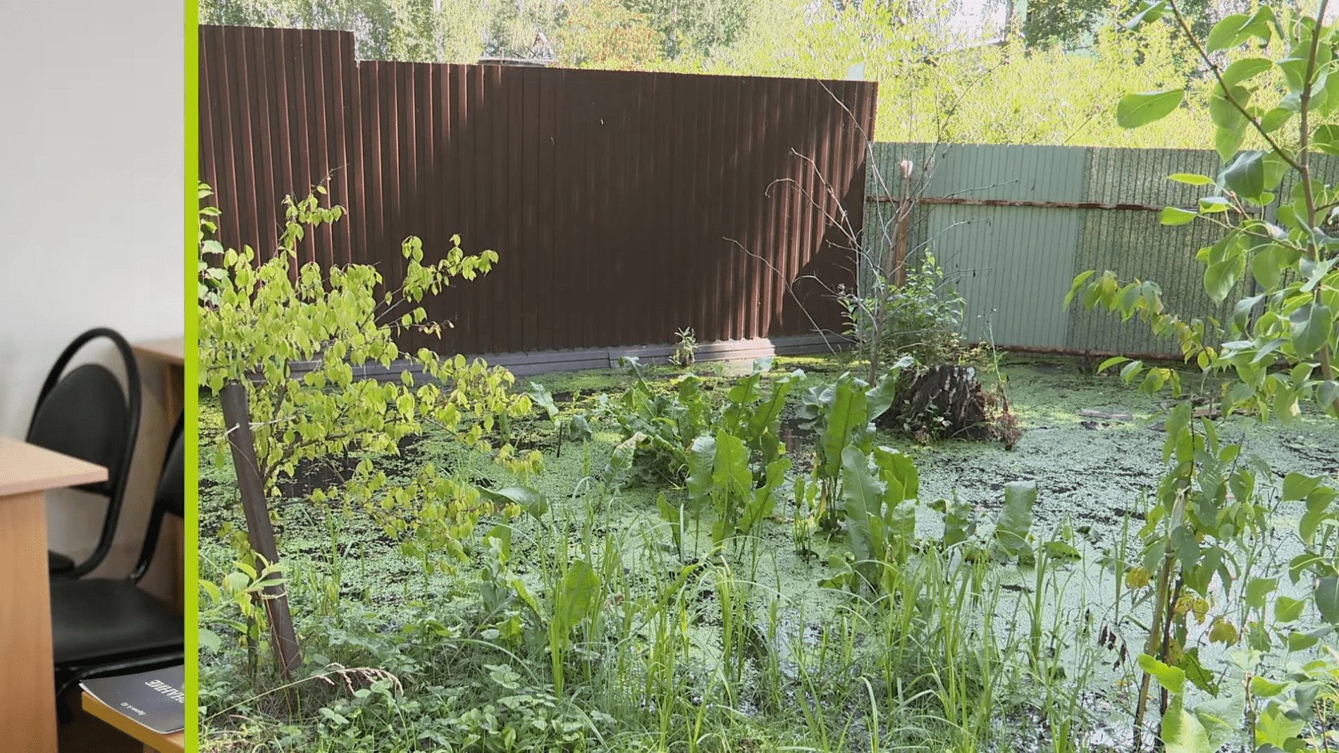 Експерти розповіли, як розміщення культур за рівнями рятує урожай при підтопленнях