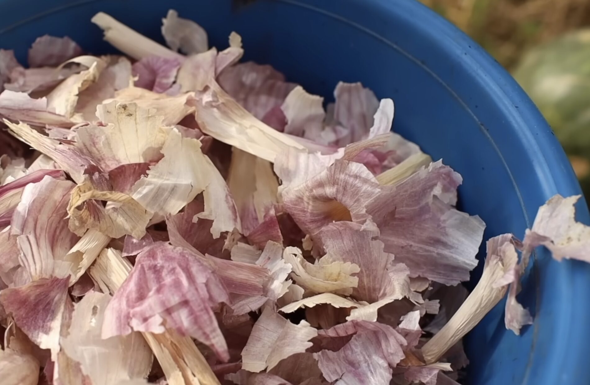 Городники назвали органічні добрива для квітів у саду