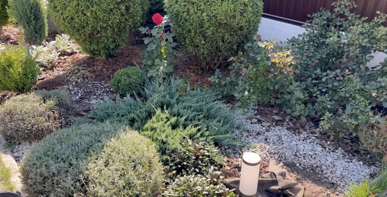 Садівники розповіли, як врятувати рослини в саду від спеки