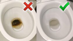 Покоївки поділилися лайфхаком, як швидко відмити дно унітаза від бурого нальоту 