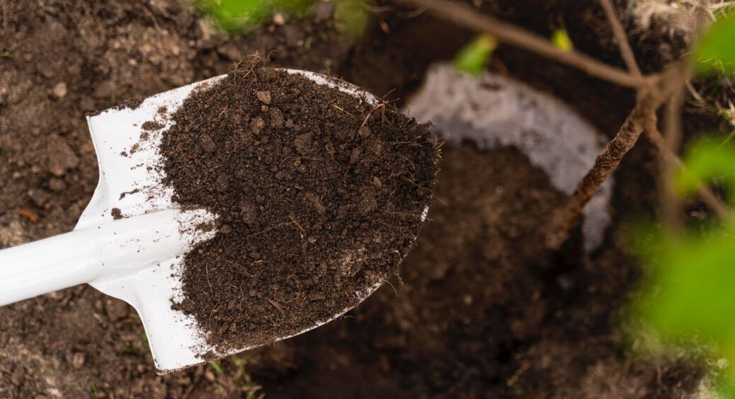 На раз — від шкідників, на два — для родючості: восени обробила так ґрунт, і маю навесні 2 тонни врожаю 