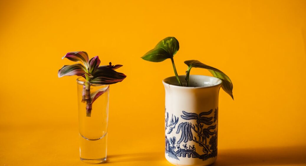 Я лише прикопала гілочку, а вона прижилась: 5 природних стимуляторів, які змінять ваш підхід до живцювання 