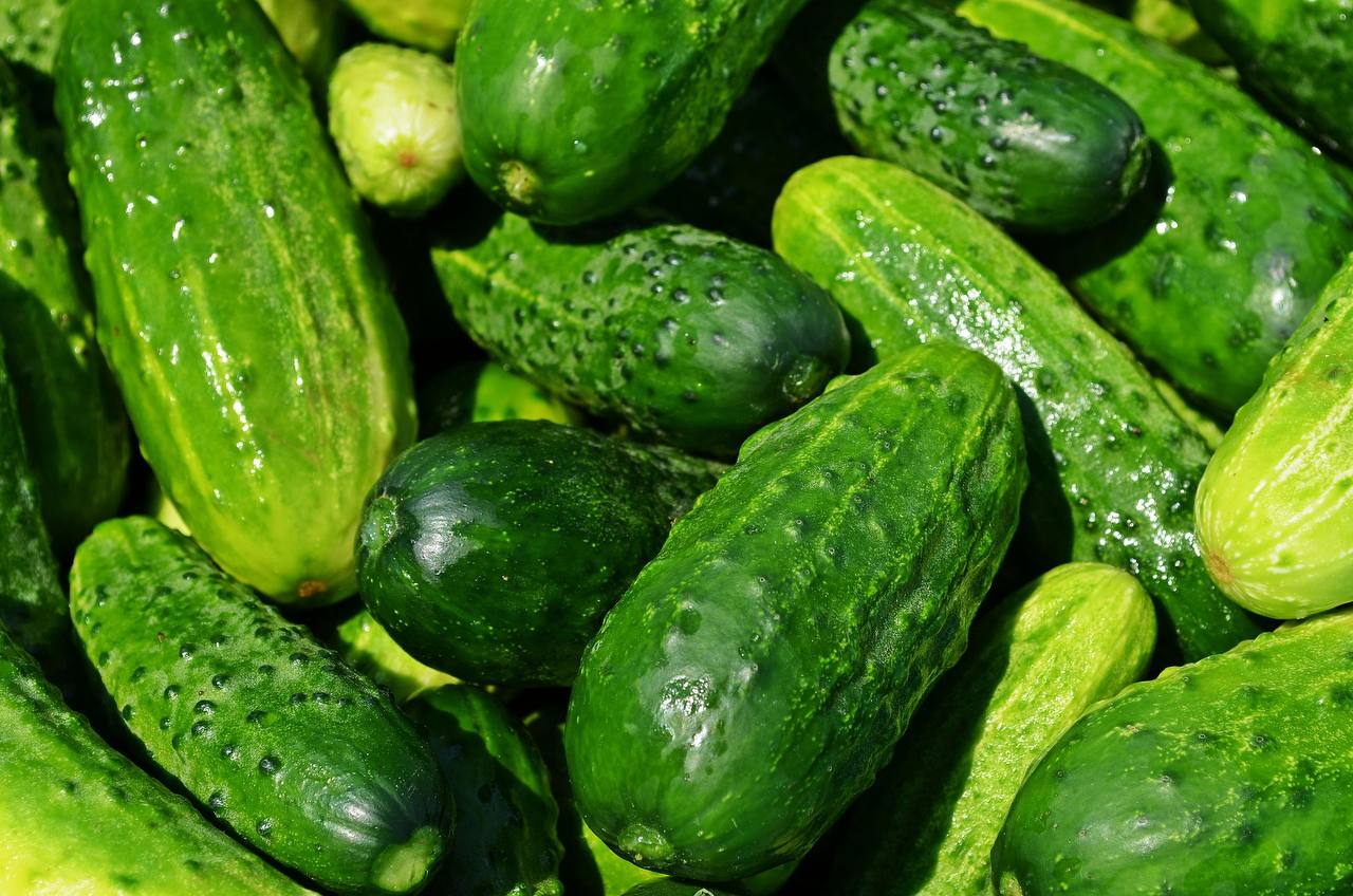 Кума заправляє лунку цими 3 живильними продуктами – і влітку відер не вистачає: щодня на кущах нові огірочки