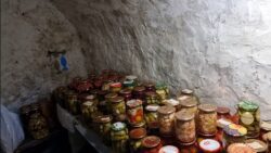 Дачники розповіли, як ефективно боротися з конденсатом у льосі 