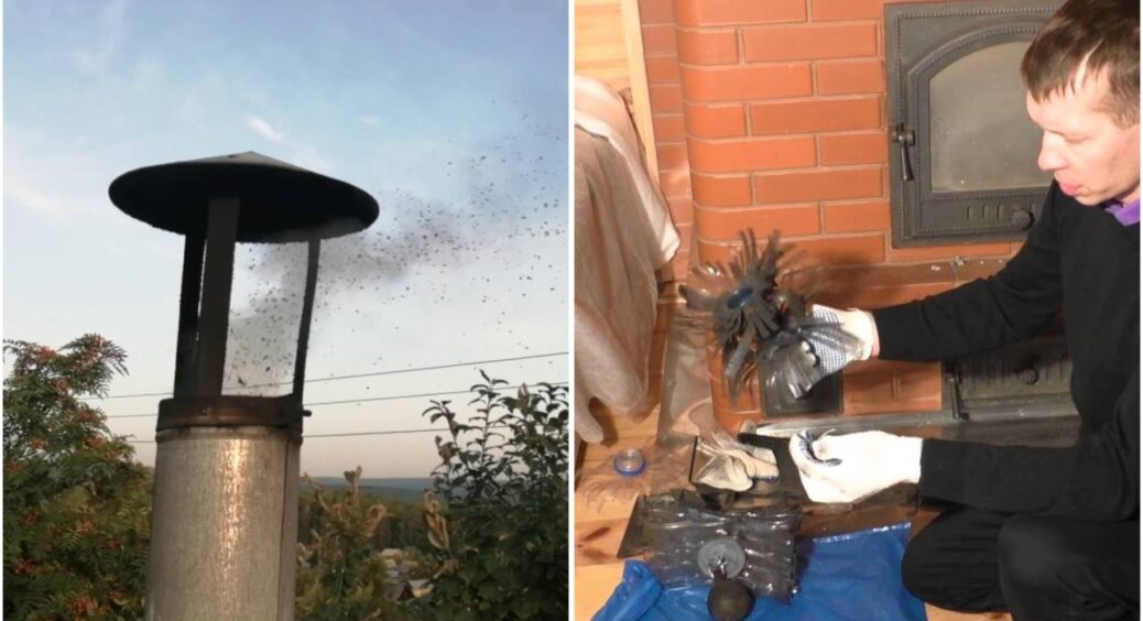 Лише 1 пластикова пляшка – і вся сажа вилітає у димар: 1 раз на рік чищу піч – без солі та крохмалю 
