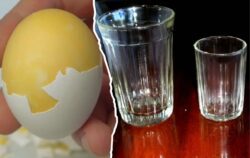 Як приготувати варені яйця цікавим способом 