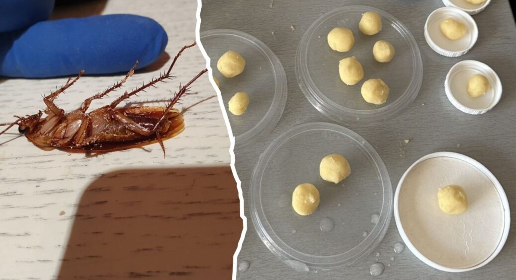 Розставила по кутках “це” і почекала 4-5 годин: таргани зникли за 1 тиждень. Безпечно для дітей і тварин 