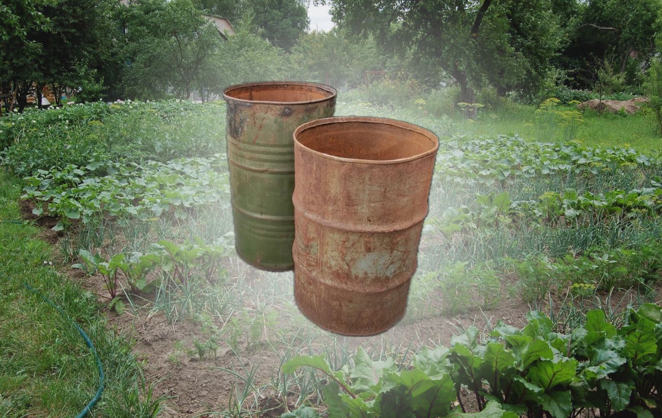 Як позбутись від шкідників за допомогою іржі