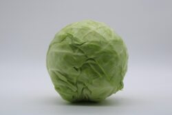 cabbage-7191817_1280 