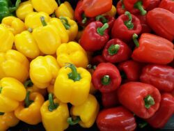 colorful-peppers-2584355_1280 