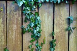 fence-3156734_1280 