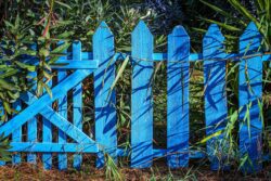 Господині назвали переваги фарбування паркану взимку 