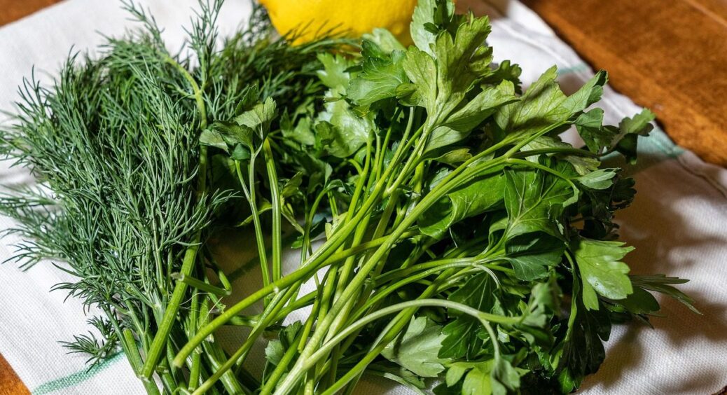 До 4 тижнів зберігаю зелень свіжою в холодильнику: дізналася, що так роблять ВСІ італійські шеф-кухарі 
