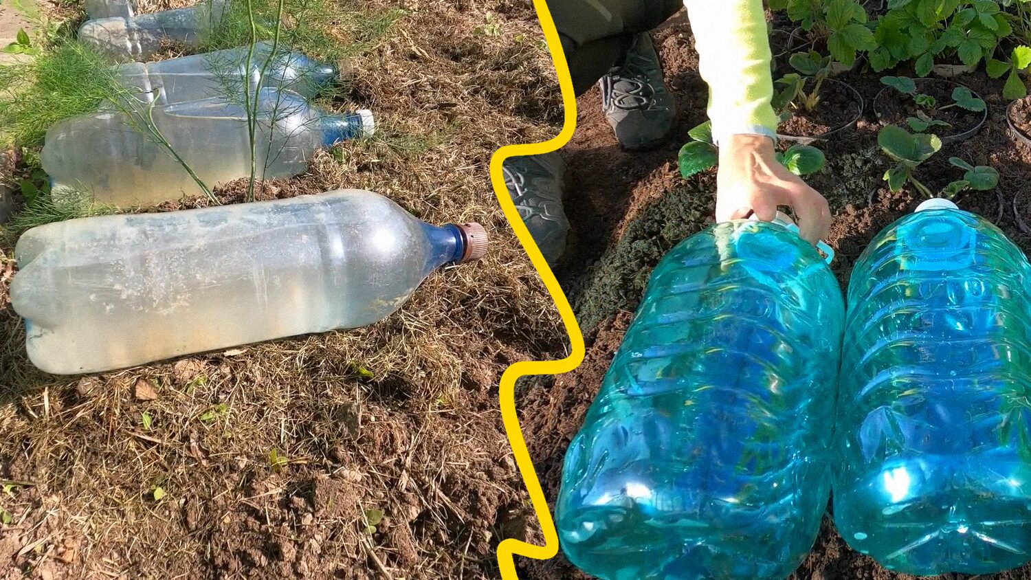 Городники поділились лайфхаком для рівних грядок без зайвого бруду