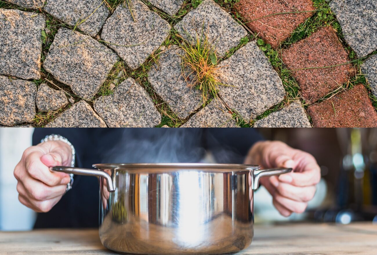 Городники розповіли, як прибрати бурʼяни між плиткою без витрат