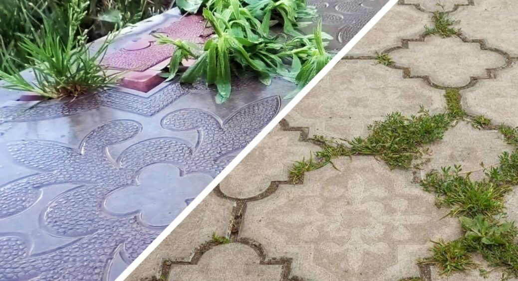 Трава між плитками – результат ваших помилок: аби бур’янів не залишилось, скористайтесь цим методом “1-2-3” 