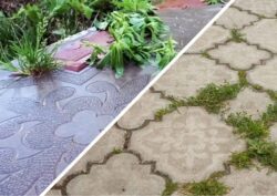 Як позбутись від бур’янів у швах між плитками 
