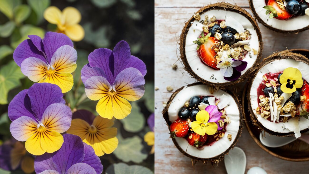 Квітникарі поділилися назвами квітів, які можна вживати в їжу