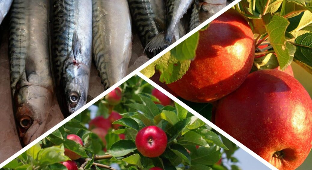 У сусідів щелепи на підлогу падають, поки бабуся тихо закопує це під яблунею – врожай можна збирати КАМАЗами 