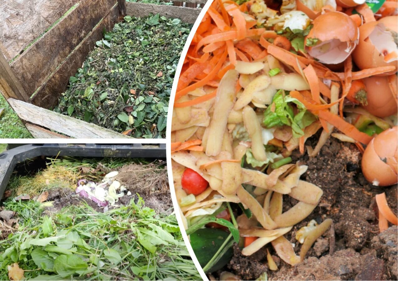 Городники порівняли, що краще: компостна купа чи яма
