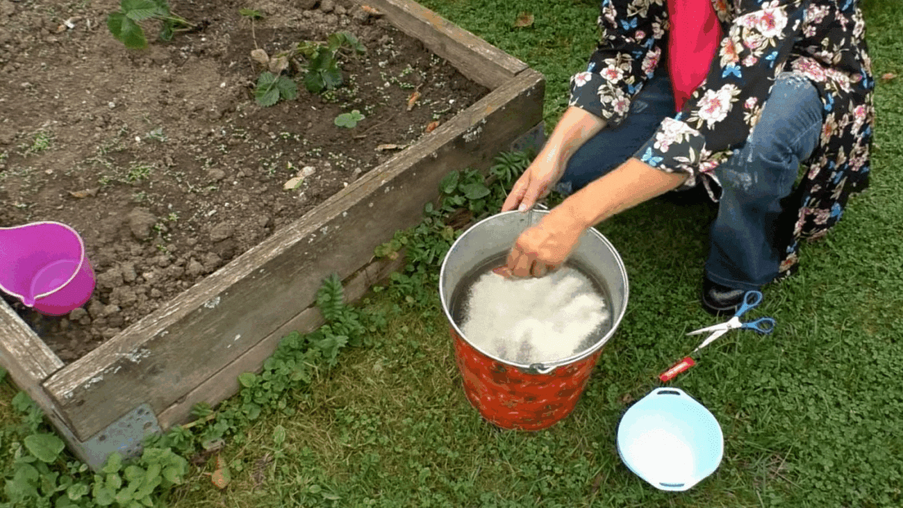 Експерти розповіли, яке добриво може нашкодити городу