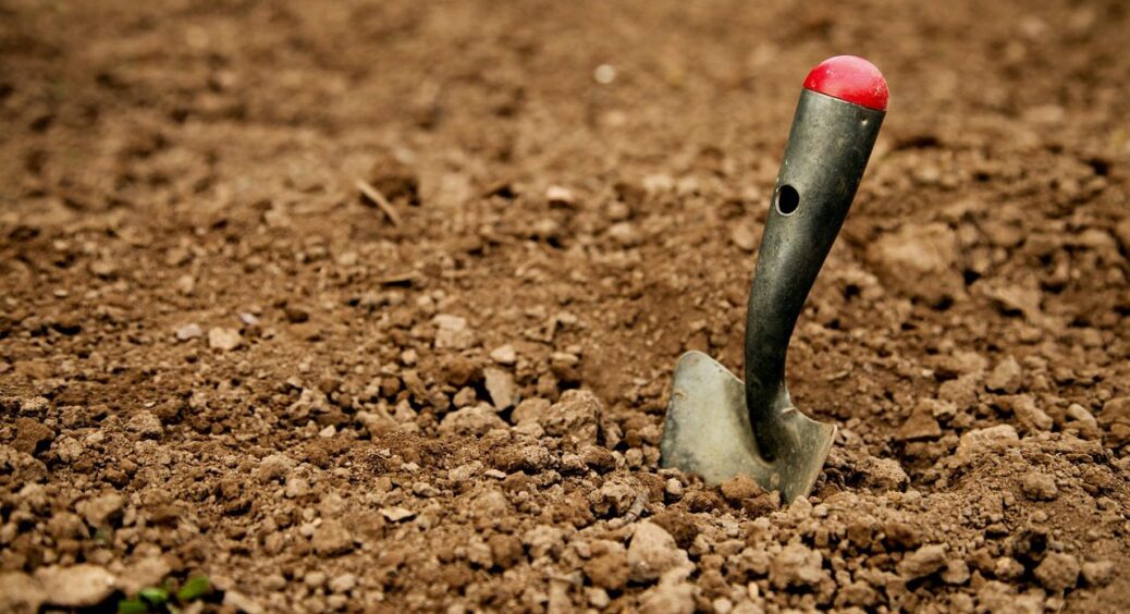 Дідусь порається на городі з 8 років: навчив перетворювати “безплідну” глину на родючий ґрунт – це просто 