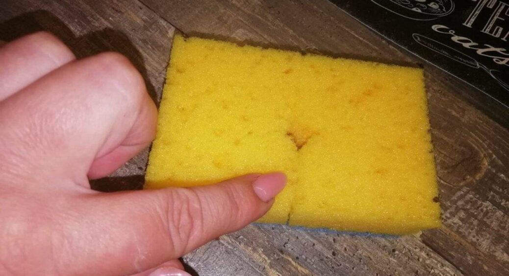 Губки влітку купую пачками – потрібні не тільки для прибирання: ріжу на шматочки, замочую і не тільки 