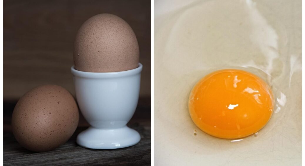 Бачу такі курячі яйця – беру одразу 4 десятки: 3 головні кроки, як обрати найсвіжіший і найсмачніший продукт 