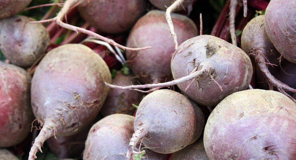 Щоб буряк не чорнів узимку, пересипаю його 2 жменями піску – лежить аж до травня, солодкий і твердий 