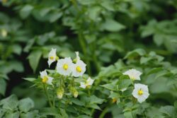 8photo75 
