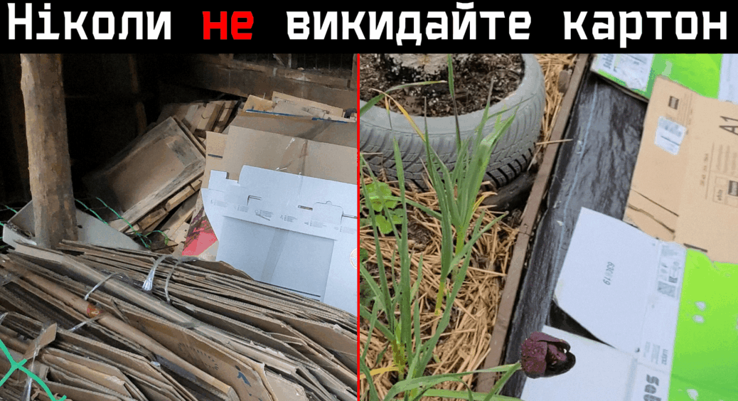 Сусід вже 3 рік ходить та випрошує старі картонні коробки. Вважали його диваком, а тепер самі так робимо 